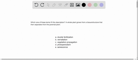 a-whole-plant-grows-from-a-tissue-or-structure-that-became-separated-from-a-parent-plant-this-is-___