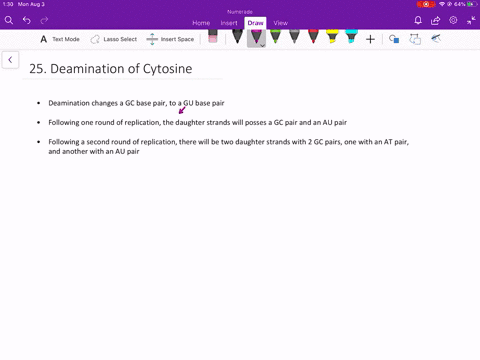 spontaneous-deamination-of-cytosine-bases-in-dna-takes-place-at-low-but-measurable-frequency-cytosin