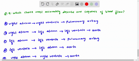 which-choice-most-accurately-describes-one-sequence-of-blood-flow-a-right-atrium-longrightarrow-righ
