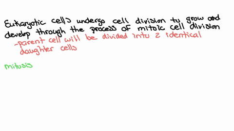 diagram-and-describe-the-eukaryotic-cell-cycle-name-the-phases-and-briefly-describe-the-events-that-