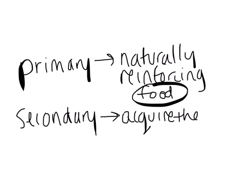 which-of-the-following-is-not-an-example-of-a-primary-reinforcer-a-food-b-money-c-water-d-sex