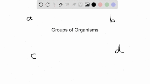 a-group-of-interacting-individuals-of-a-single-species-located-within-a-particular-area-is-called-a-