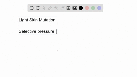 the-allele-of-the-human-transport-protein-associated-with-light-skin-is-found-almost-exclusively-in-