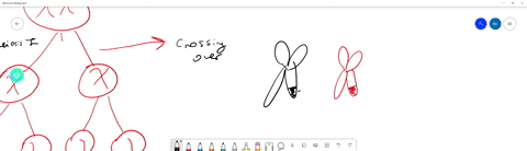 how-does-crossing-over-produce-variation-among-gametes