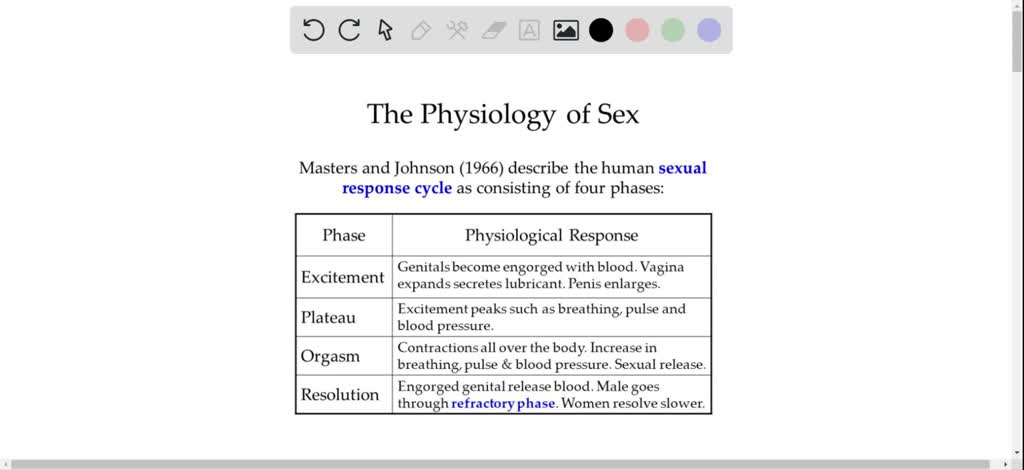 Describe The Phases Of The Human Sexual Response Numerade