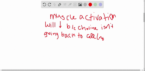 acetylcholine-is-a-common-neurotransmitter-released-at-the-synapse-predict-the-consequences-for-mu-2