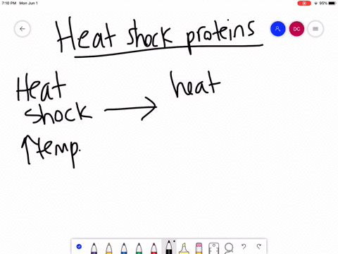figure-375-heat-shock-proteins-hsp-are-so-named-because-they-help-refold-misfolded-proteins-in-respo
