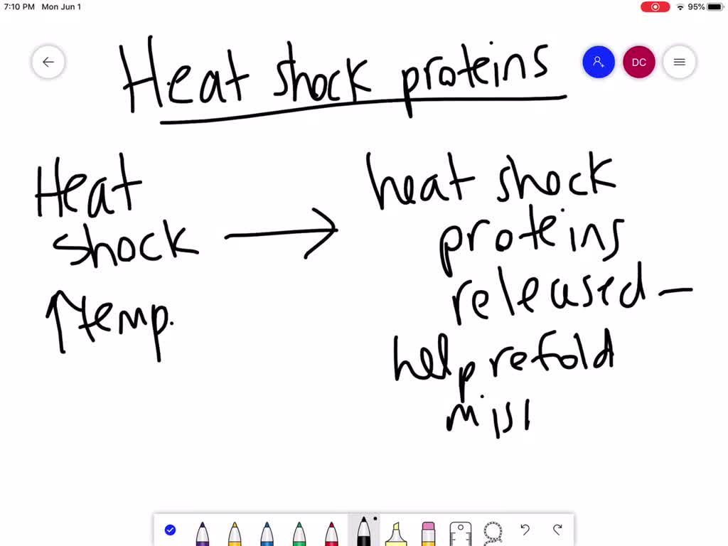 solved-figure-37-5-heat-shock-proteins-hsp-are-so-named-because-they