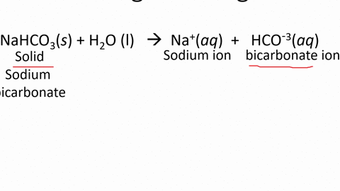 the-chemistry-in-focus-segment-gum-that-foams-discusses-mad-dawg-chewing-gum-one-of-the-ingredients-
