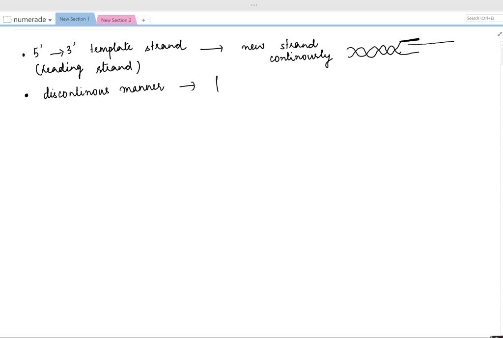 SOLVEDDNA synthesis always takes place from the 5^' to the 3 ' end