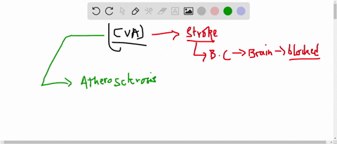 a-define-cerebrovascular-accident-or-cva-b-describe-its-possible-causes-and-consequences