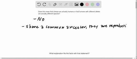 some-genes-are-more-alike-between-human-and-chimp-than-other-genes-are-from-person-to-person-does--3