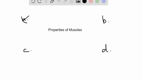 which-of-the-following-properties-is-not-common-to-all-three-muscle-tissues-a-excitability-b-the-nee