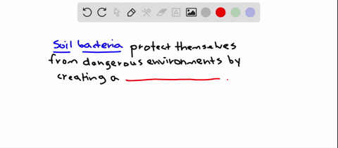 some-soil-bacteria-such-as-bacillus-anthracis-survive-harsh-conditions-by-forming-an-___-a-endospore