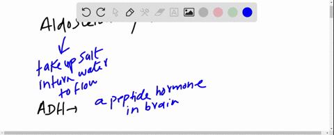 what-is-the-major-difference-between-aldosterone-and-the-other-hormones-listed-in-figure-208