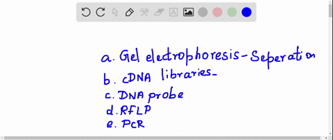 which-technique-rapidly-replicates-specific-dna-fragments-without-cloning-in-cells-a-gel-electroph-3