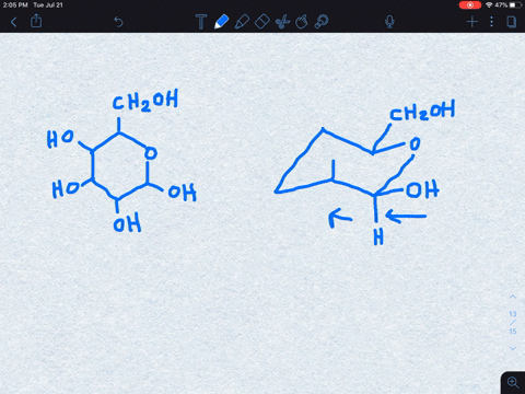 the-most-stable-form-of-glucose-blood-sugar-is-a-six-membered-ring-in-a-chair-conformation-with-it-3