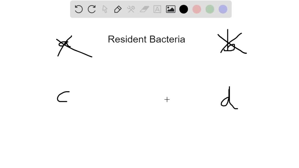 ⏩SOLVED:Which of the following is a benefit of resident bacteria? a ...