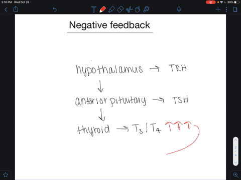 describe-an-example-of-negative-feedback-on-a-hormone-released-from-the-anterior-pituitary