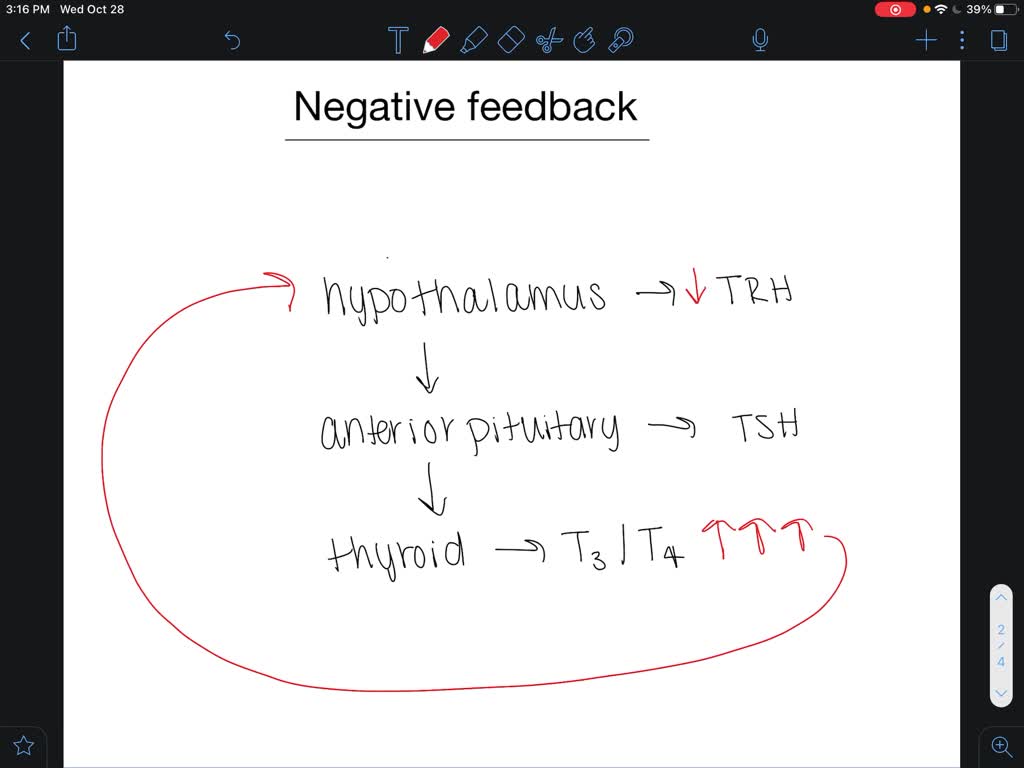 Define Negative Feedback And Give An Example