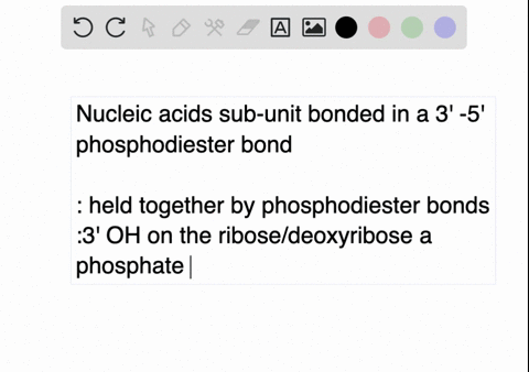 what-nucleic-acid-subunits-are-connected-in-a-3prime-5prime-phosphodiester-linkage-in-a-polynucleoti
