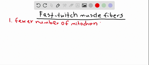 fast-twitch-muscle-fibers-have-which-of-the-following-characteristics-a-fewer-number-of-mitochondr-2