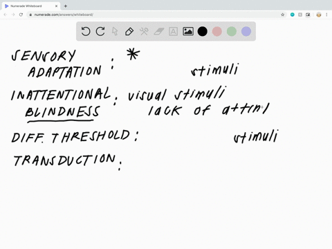 ________-involves-the-conversion-of-sensory-stimulus-energy-into-neural-impulses-a-sensory-adaptatio