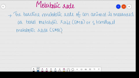 on-a-per-kilogram-basis-why-does-a-small-mammal-such-as-a-shrew-require-so-much-more-energy-than-d-2