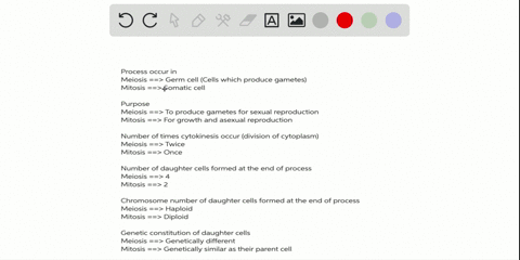 plot-the-amount-of-dna-in-the-nucleus-of-a-spermatogonia-from-the-g_1-stage-prior-to-the-first-meiot
