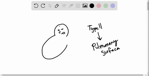 if-a-baby-is-born-prematurely-before-type-ii-cells-produce-sufficient-pulmonary-surfactant-which-of-