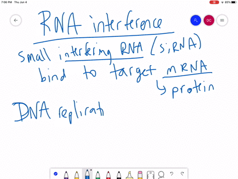 rna-interference-rnai-inhibits-a-dna-replication-b-neither-transcription-nor-translation-of-specif-2