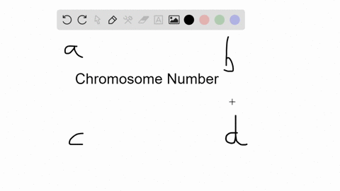 a-cell-with-two-of-each-type-of-chromosome-has-an-__________-chromosome-number-a-diploid-b-haploid-c