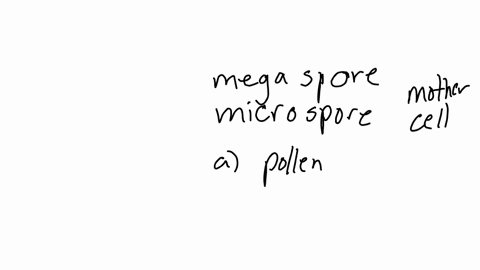 the-megaspore-and-the-microspore-mother-cells-a-both-produce-pollen-grains-b-both-divide-meiotically