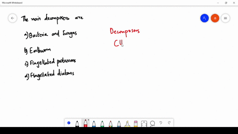 the-main-decomposers-are-a-bacteria-and-fungus-b-earthworm-c-flagellated-protozoans-d-flagellated-di