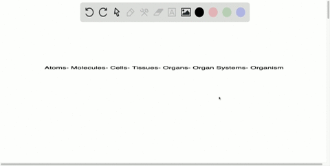 name-the-six-levels-of-organization-of-the-human-body