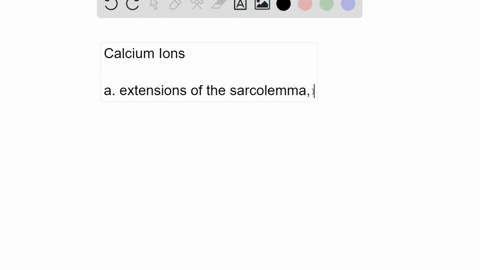 3-the-release-of-calcium-ions-initiates-muscle-contractions-watch-this-video-httpopenstaxcollegeore-