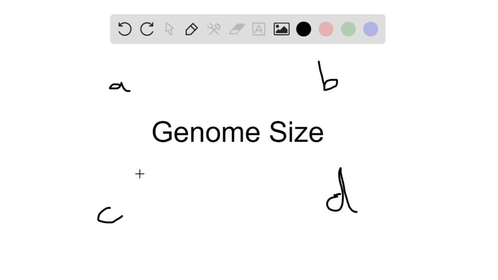 SOLVEDThe human genome size is 3 billion base pairs, and the size of the baker's yeast genome