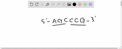 what-is-the-consequence-of-mutation-of-a-mismatch-repair-enzyme-how-will-this-affect-the-function-of