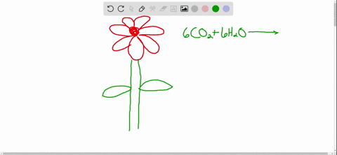 in-what-ways-does-plant-life-affect-the-composition-of-earths-atmosphere