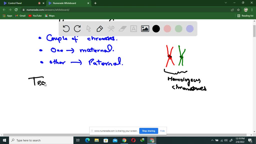 solved-define-homologous-chromosomes-and-describe-a-technique-that-you-could-use-to-show-their