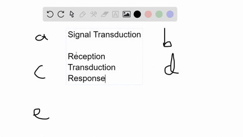 which-of-the-following-could-not-elicit-a-signal-transduction-response-a-a-signal-molecule-injecte-3