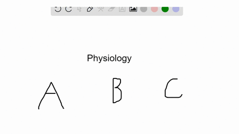 beginarrayltext-a-uric-acid-text-b-urea-text-c-ammonia-endarray-excreted-by-nephridia