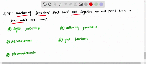 anchoring-junctions-that-hold-cells-together-at-one-point-like-a-spot-weld-are-a-tight-junctions-b-a