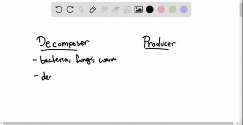 in-what-way-are-decomposers-like-producers-a-either-may-be-the-first-member-of-a-grazing-or-a-detrit