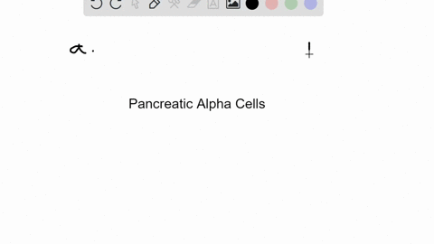 if-an-autoimmune-disorder-targets-the-alpha-cells-production-of-which-hormone-would-be-directly-affe