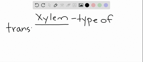 in-the-xylem-a-the-products-of-photosynthesis-travel-down-the-stem-b-living-pumping-cells-push-the-2