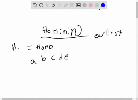 the-earliest-hominin-that-most-paleoanthropologists-place-in-genus-homo-is-a-h-habilis-b-h-ergaste-2