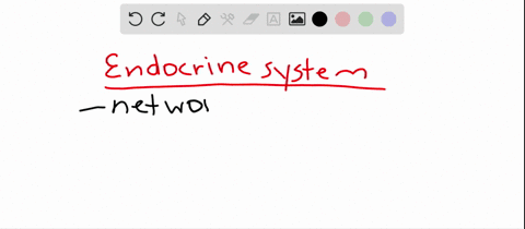 the-___________-system-produces-hormones-a-nervous-b-urinary-c-skeletal-d-endocrine