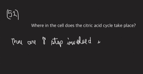 where-in-the-cell-does-the-citric-acid-cycle-take-place