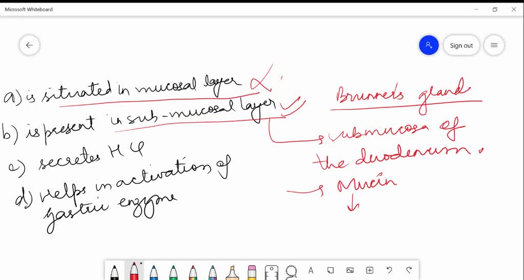 SOLVED:Brunner's gland (a) Is situated in mucosal layer (b) Is present ...